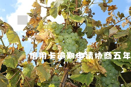 信用卡逾期申请协商五年分期 信用卡逾期申请协商五年分期