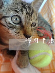 信用卡逾期申请卡卡贷 信用卡逾期申请卡卡贷
