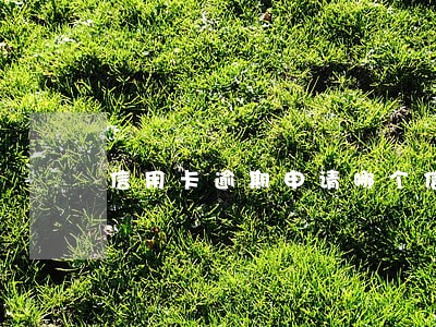 信用卡逾期申请哪个信用卡
