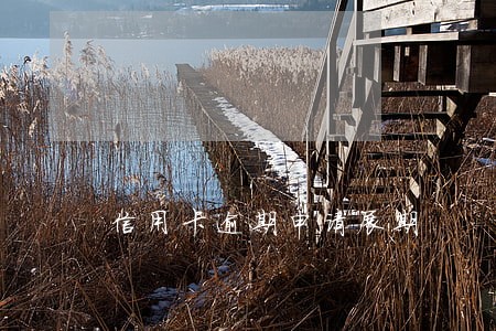 信用卡逾期申请展期 信用卡逾期申请展期