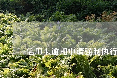 信用卡逾期申请强制执行的条件 信用卡逾期申请强制执行的条件