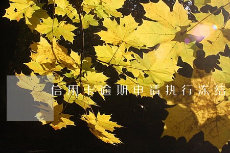 信用卡逾期申请执行冻结银行卡
