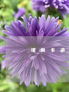 信用卡逾期申请本金结清 信用卡逾期申请本金结清
