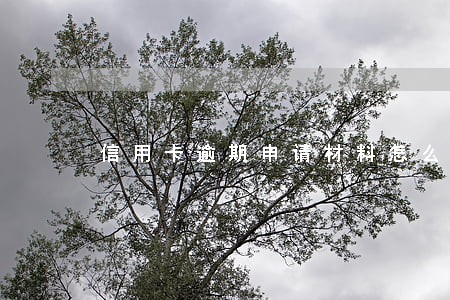 信用卡逾期申请材料怎么写 信用卡逾期申请材料怎么写