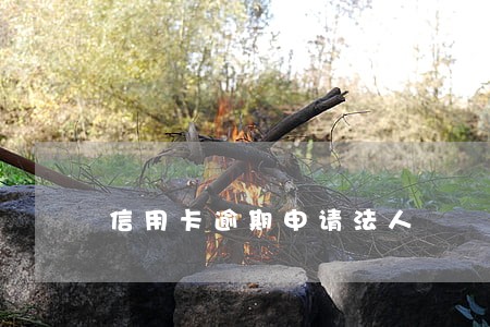 信用卡逾期申请法人 信用卡逾期申请法人