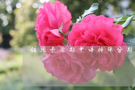 信用卡逾期申请特殊分期