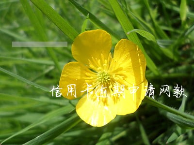 信用卡逾期申请网款 信用卡逾期申请网款