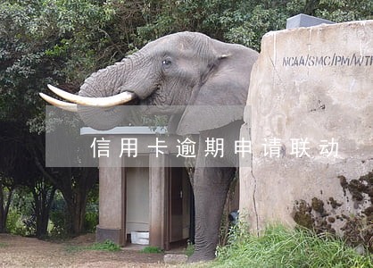 信用卡逾期申请联动 信用卡逾期申请联动