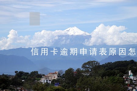 信用卡逾期申请表原因怎么填写