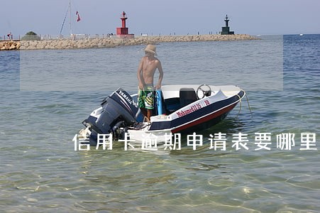 信用卡逾期申请表要哪里盖章