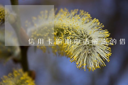 信用卡逾期申请解冻的借口 信用卡逾期申请解冻的借口