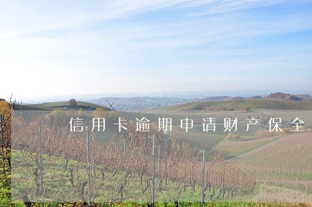 信用卡逾期申请财产保全什么意思