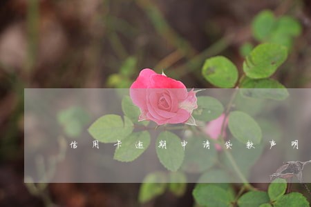 信用卡逾期申请贷款声明 信用卡逾期申请贷款声明