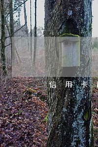 信用卡逾期申请贷款怎么办 信用卡逾期申请贷款怎么办