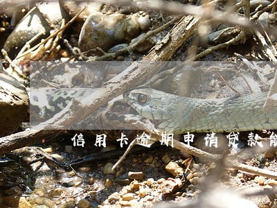 信用卡逾期申请贷款能下吗