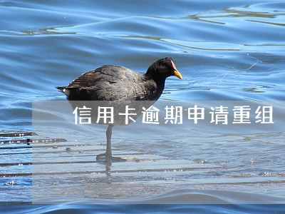 信用卡逾期申请重组 信用卡逾期申请重组