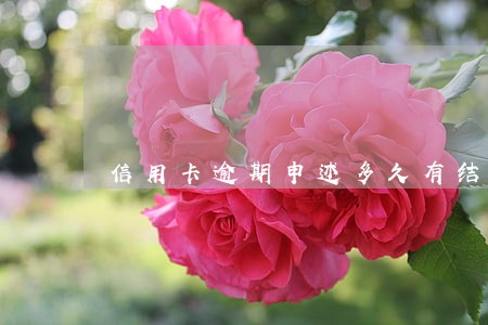 信用卡逾期申述多久有结果 信用卡逾期申述多久有结果