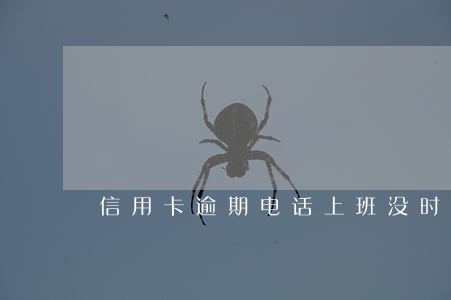 信用卡逾期电话上班没时间接 信用卡逾期电话上班没时间接