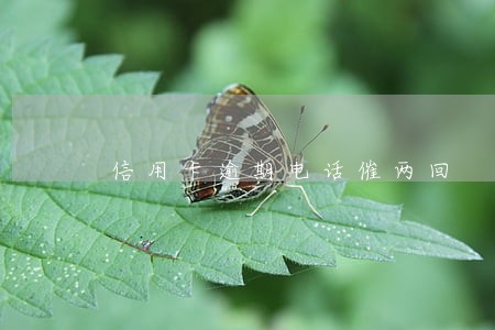 信用卡逾期电话催两回 信用卡逾期电话催两回