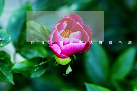 信用卡逾期电话催收合法吗 信用卡逾期电话催收合法吗