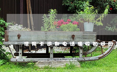 信用卡逾期电话催收如何回答 信用卡逾期电话催收如何回答