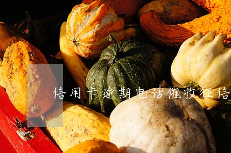 信用卡逾期电话催收征信 信用卡逾期电话催收征信