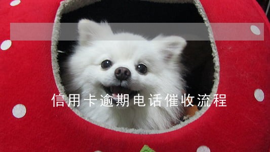 信用卡逾期电话催收流程 信用卡逾期电话催收流程