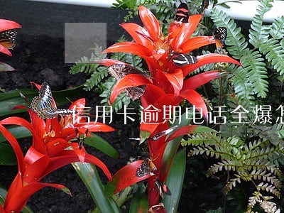信用卡逾期电话全爆怎生活 信用卡逾期电话全爆怎生活