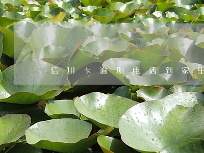 信用卡逾期电话到家里