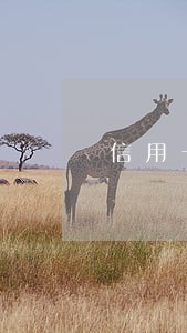信用卡逾期电话家人会打多久 信用卡逾期电话家人会打多久