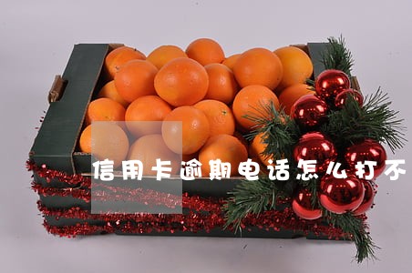 信用卡逾期电话怎么打不通 信用卡逾期电话怎么打不通