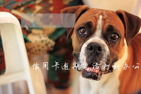 信用卡逾期电话打到办公室合法吗