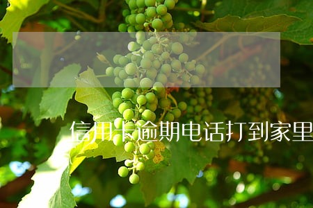 信用卡逾期电话打到家里合法吗 信用卡逾期电话打到家里合法吗