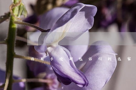 信用卡逾期电话打到老家 信用卡逾期电话打到老家