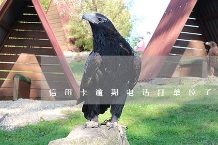 信用卡逾期电话打单位了