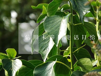 信用卡逾期电话打给家里人了 信用卡逾期电话打给家里人了