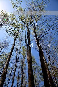 信用卡逾期电话接了怎么说 信用卡逾期电话接了怎么说