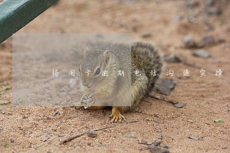 信用卡逾期电话沟通实操 信用卡逾期电话沟通实操