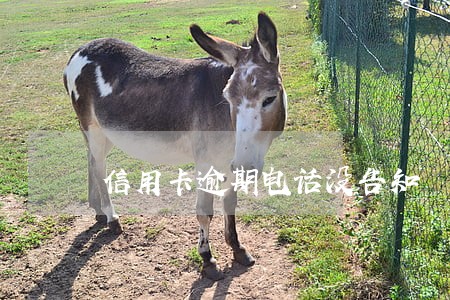 信用卡逾期电话没告知 信用卡逾期电话没告知