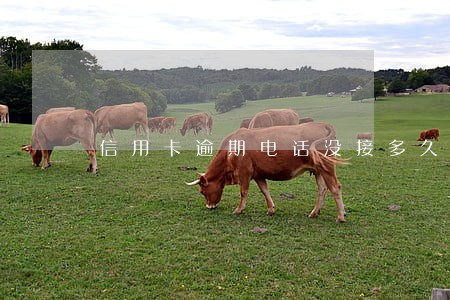 信用卡逾期电话没接多久起诉 信用卡逾期电话没接多久起诉