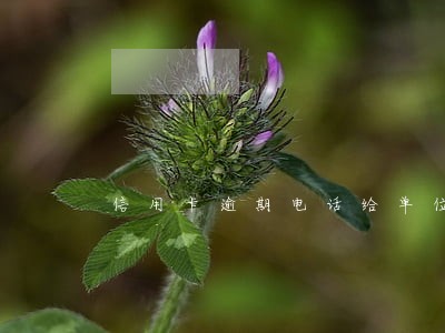 信用卡逾期电话给单位 信用卡逾期电话给单位