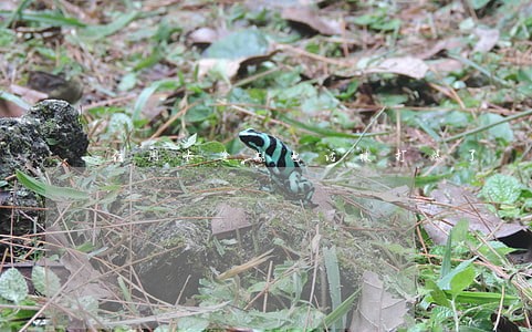 信用卡逾期电话被打爆了