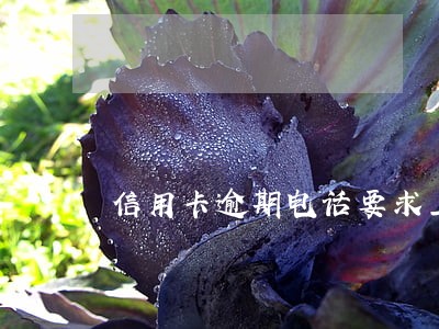 信用卡逾期电话要求上门 信用卡逾期电话要求上门