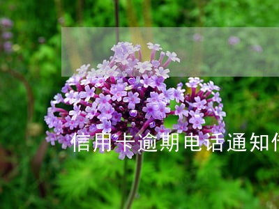 信用卡逾期电话通知传票 信用卡逾期电话通知传票