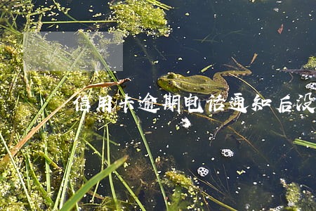 信用卡逾期电话通知后没还 信用卡逾期电话通知后没还