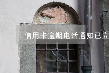信用卡逾期电话通知已立案怎么办 信用卡逾期电话通知已立案怎么办