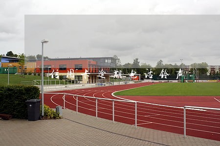 信用卡逾期电话铃声 信用卡逾期电话铃声