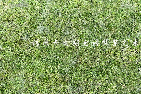 信用卡逾期电话频繁打来怎么办 信用卡逾期电话频繁打来怎么办