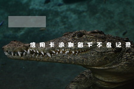 信用卡逾期留下不良记录怎么办 信用卡逾期留下不良记录怎么办