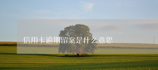 信用卡逾期留案是什么意思 信用卡逾期留案是什么意思